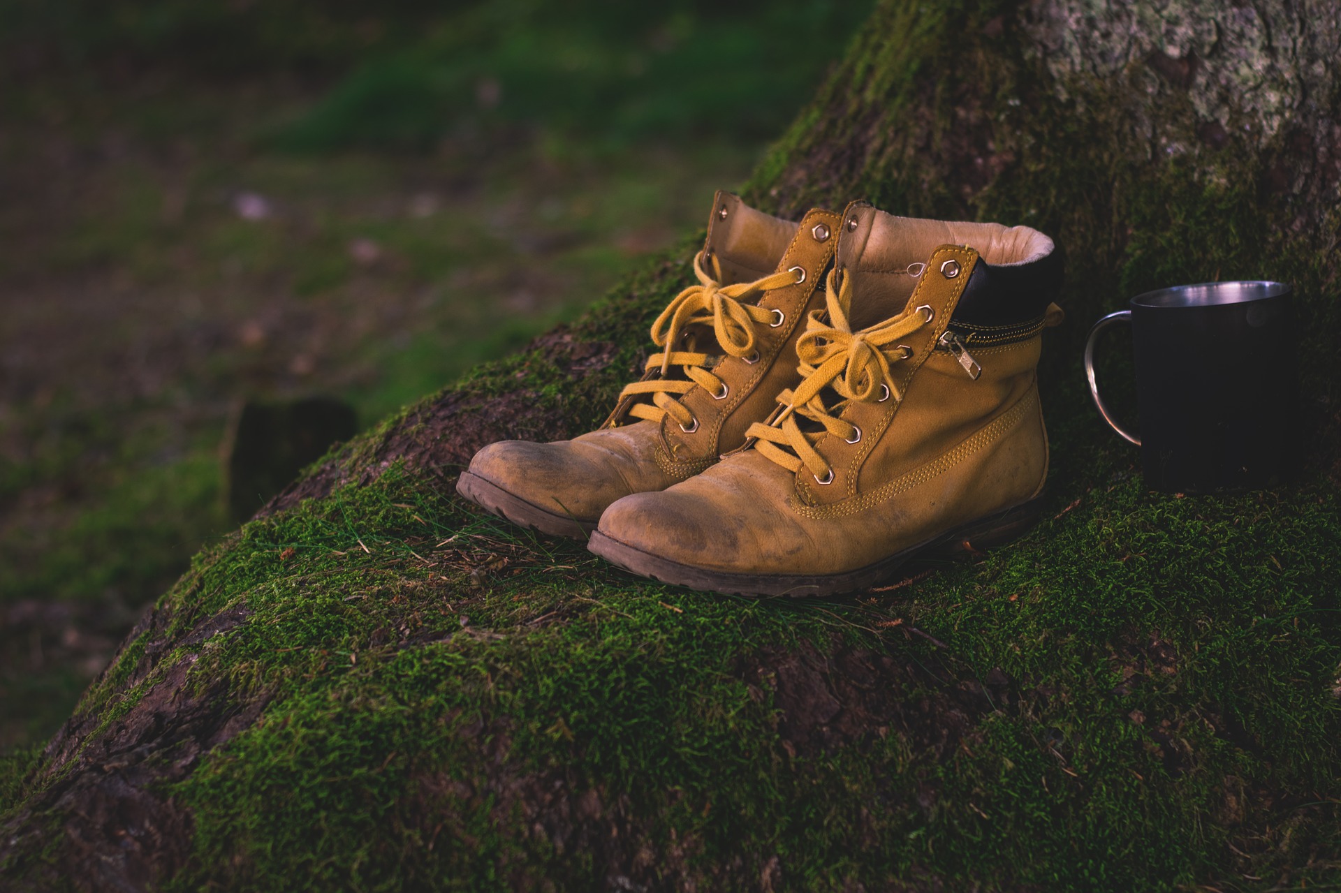 shoes-1638873_1920