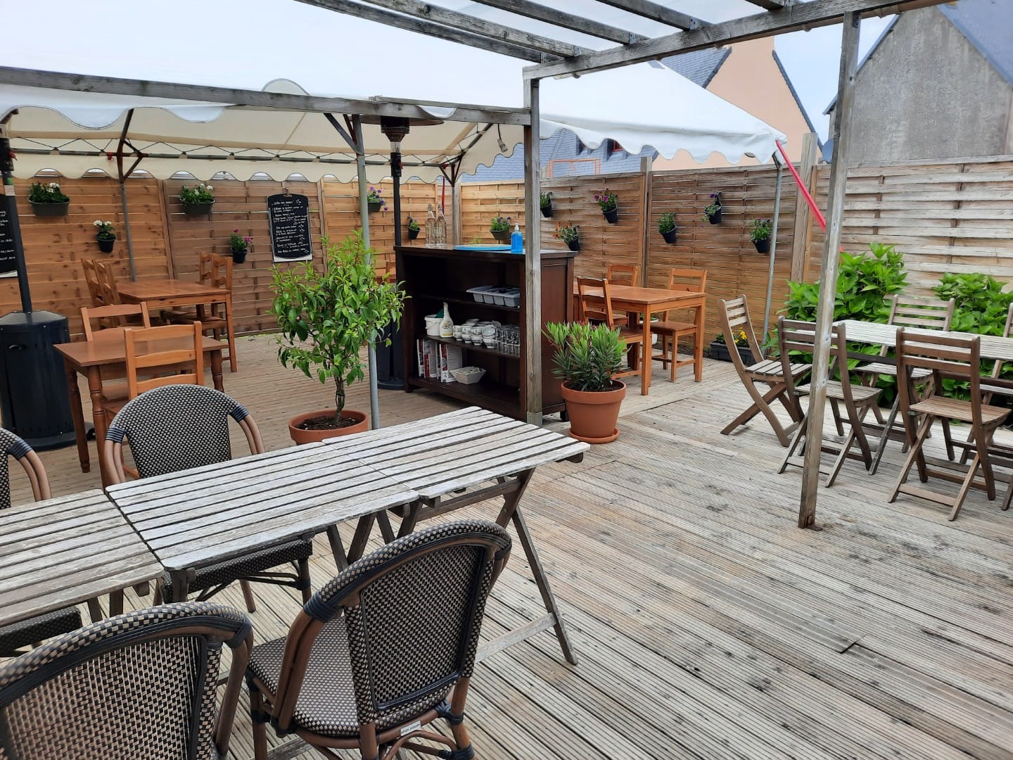terrasse chardons bleus