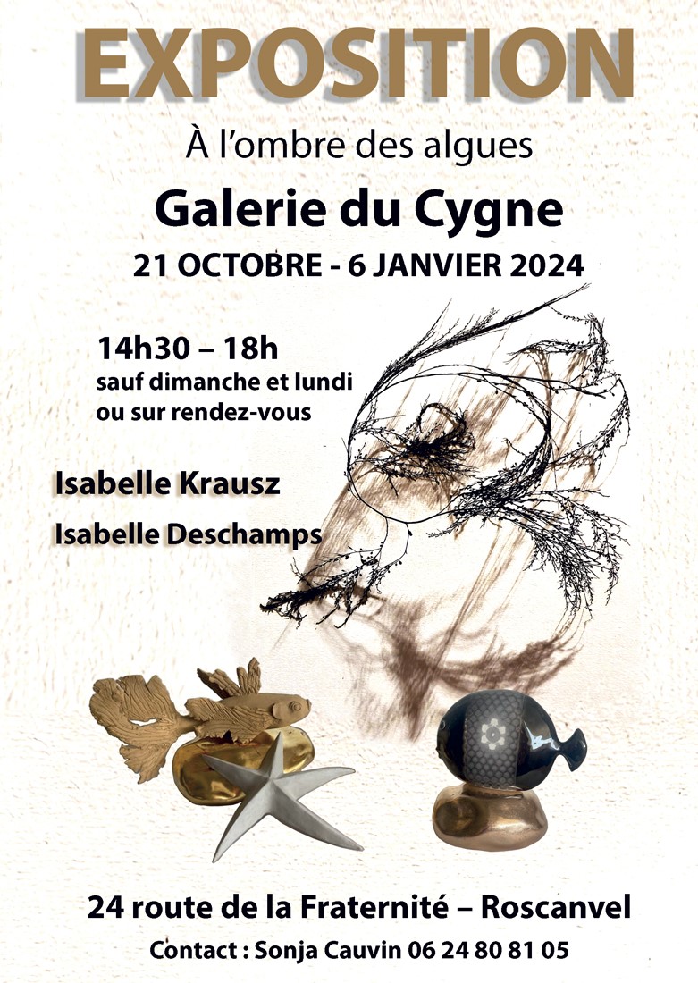 thumbnail_Expo__Flyer_galerieducygne_web