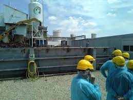 usine algaia