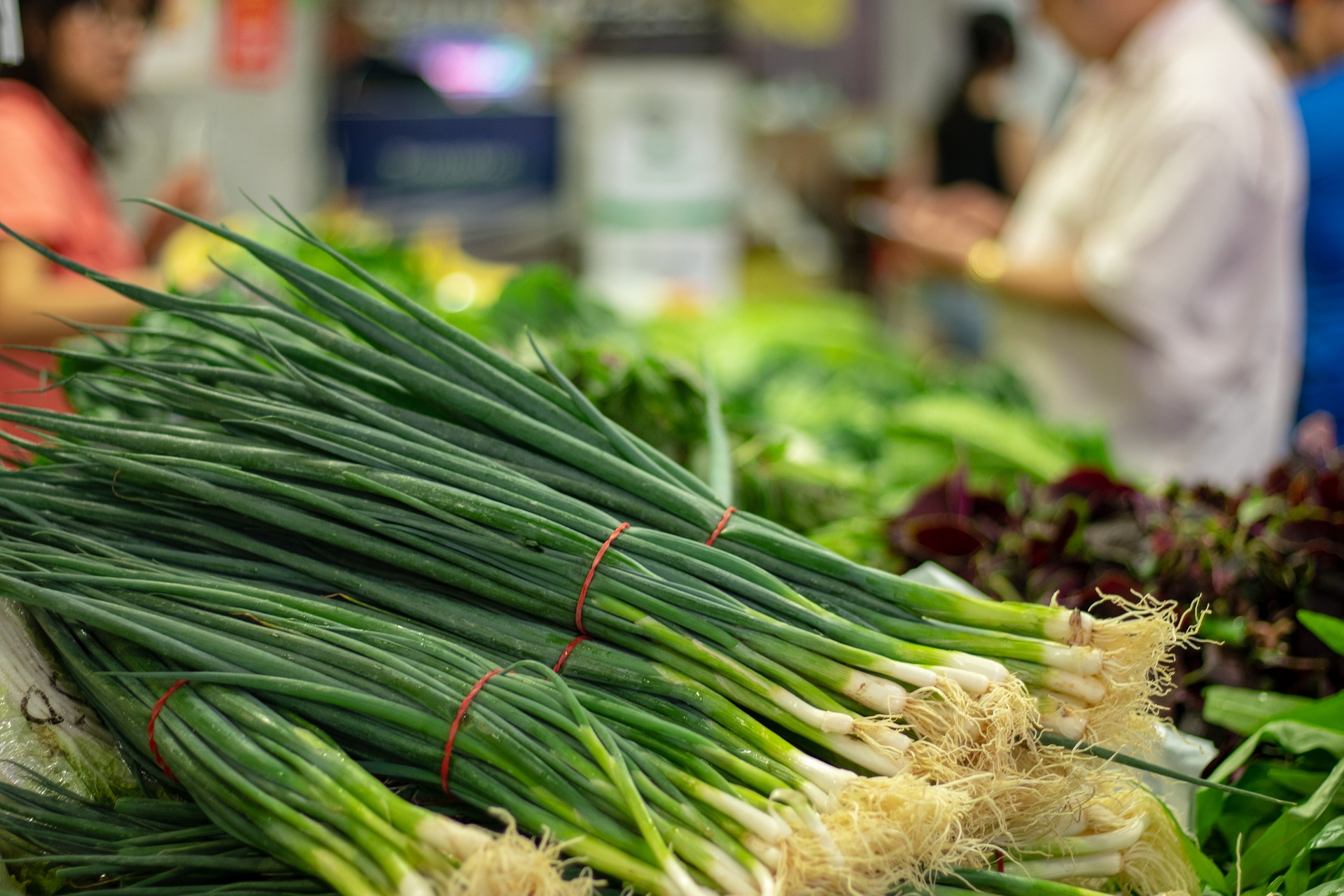 vegetables-gabfdbdd74_1920