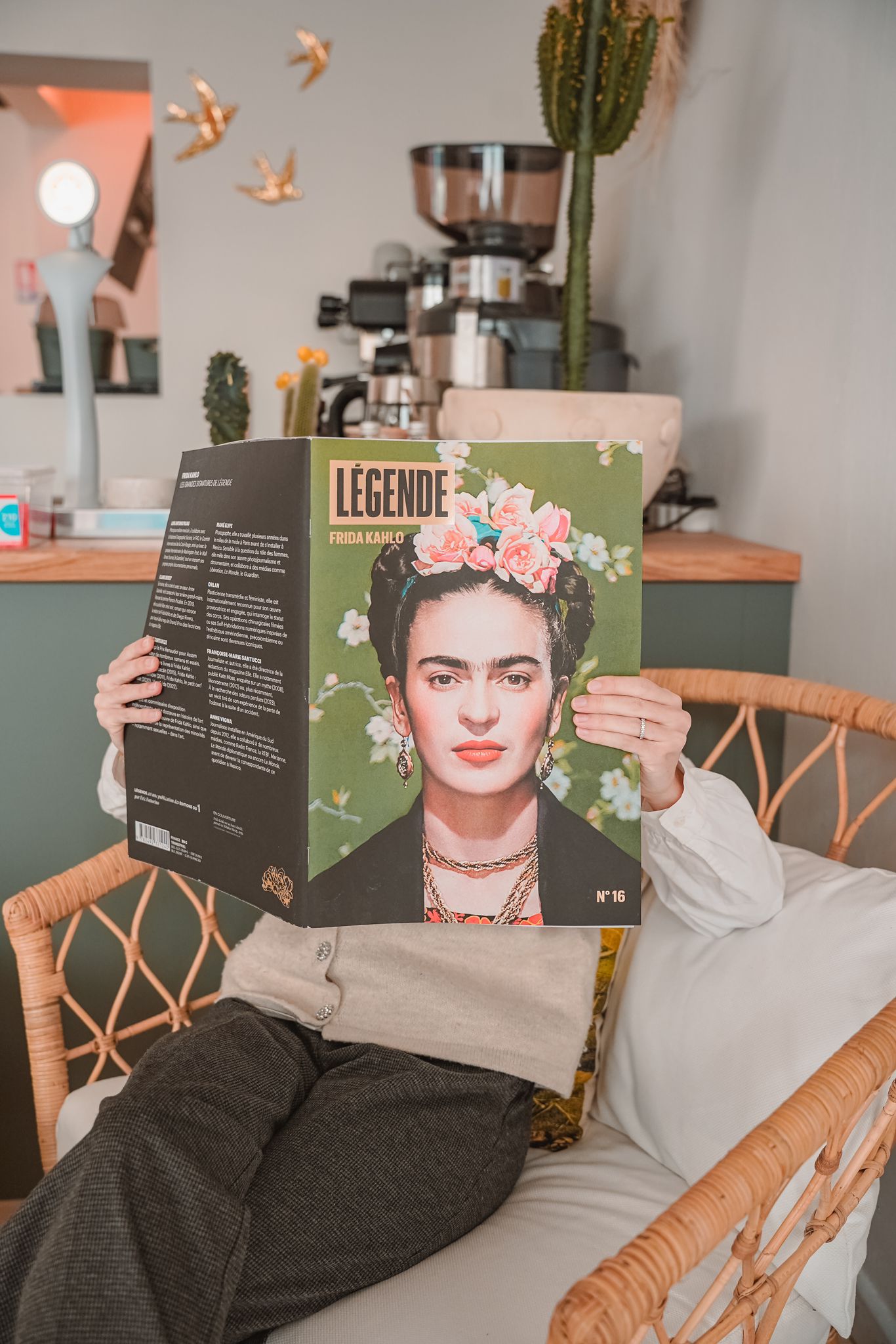 visuel frida